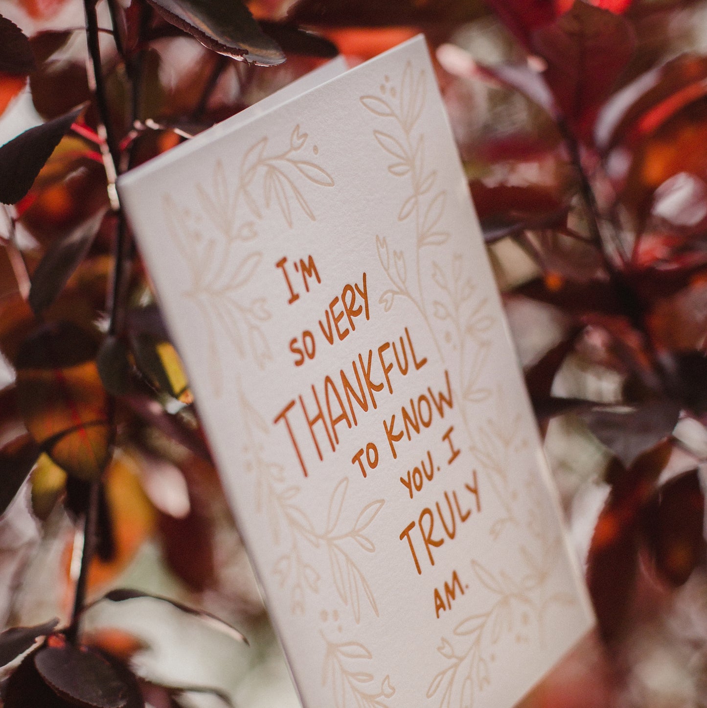 Thankful to Know You Letterpress Greeting Card