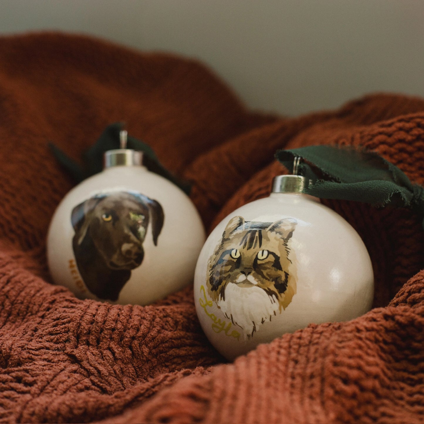 Painted Pet Ornament