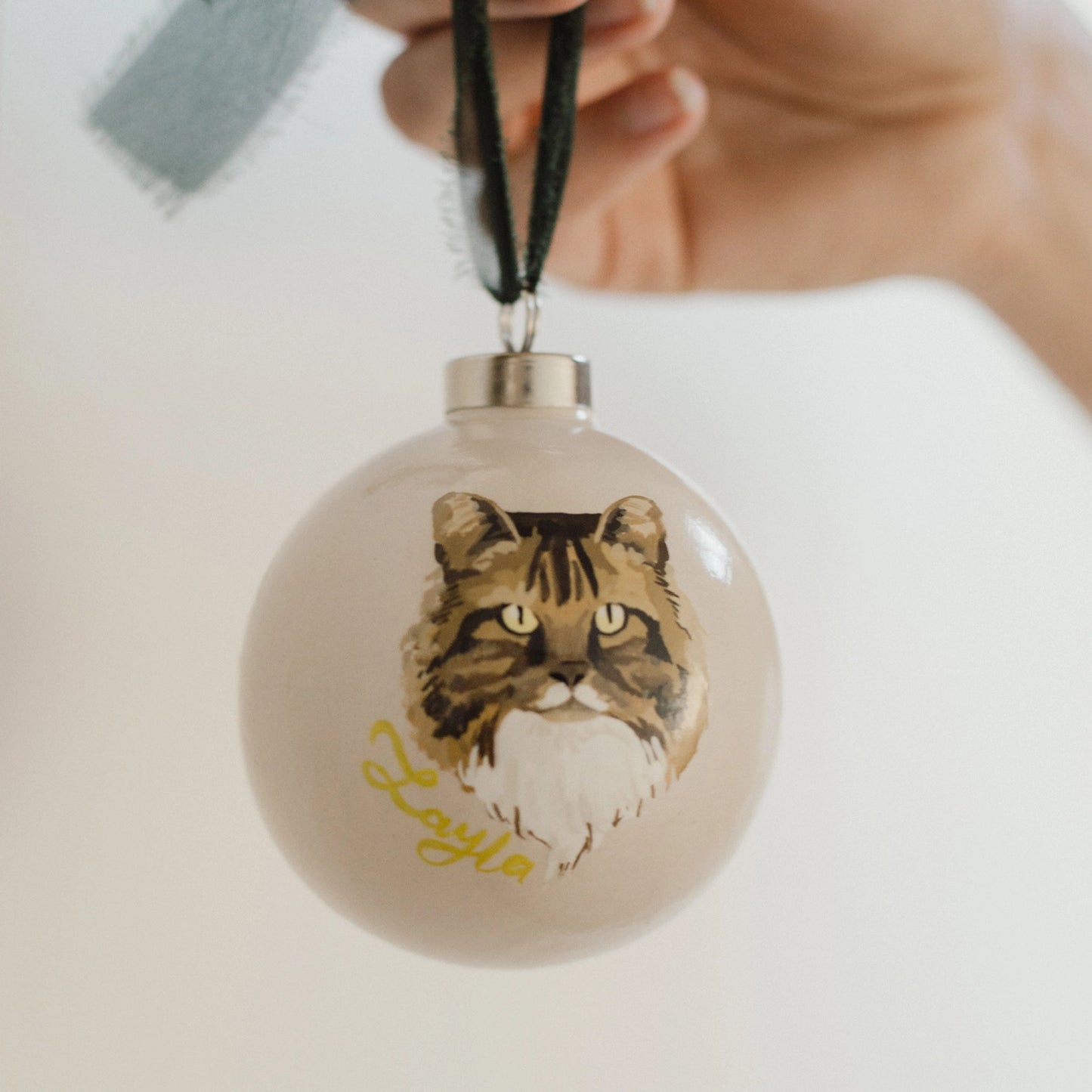 Painted Pet Ornament