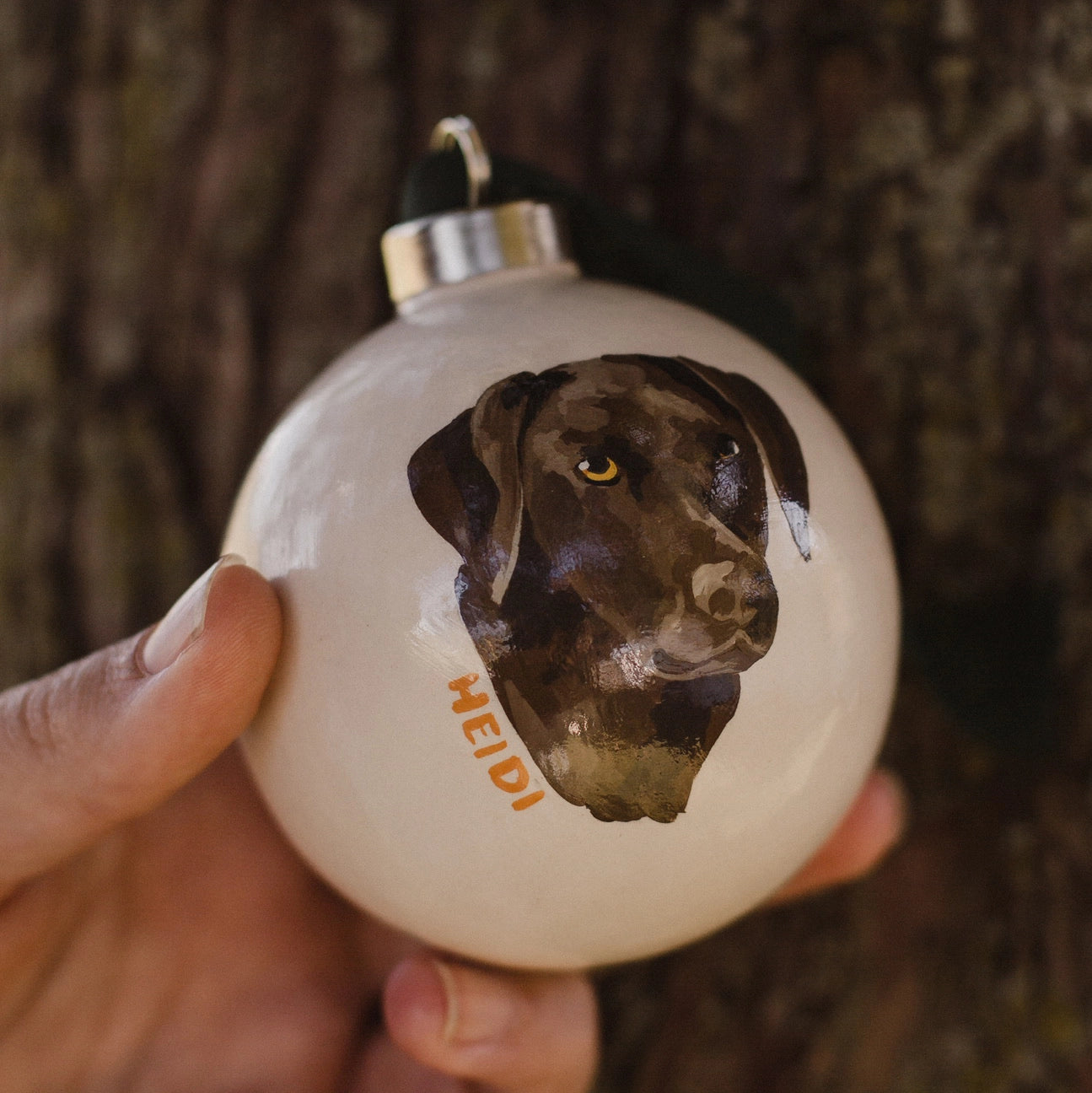 Painted Pet Ornament