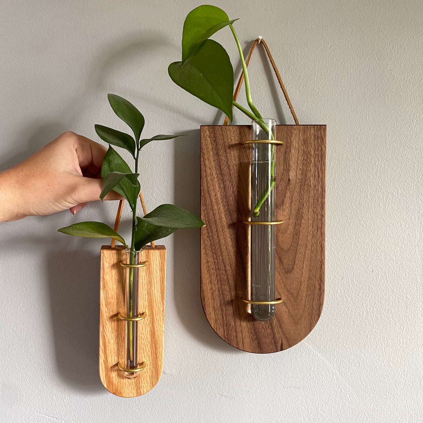 Walnut + Brass Wallflower